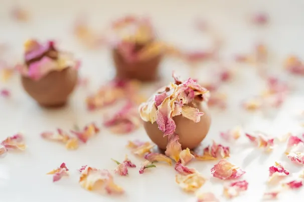 Cazino Sun Palace Cazinou Aplicație Android/iOS